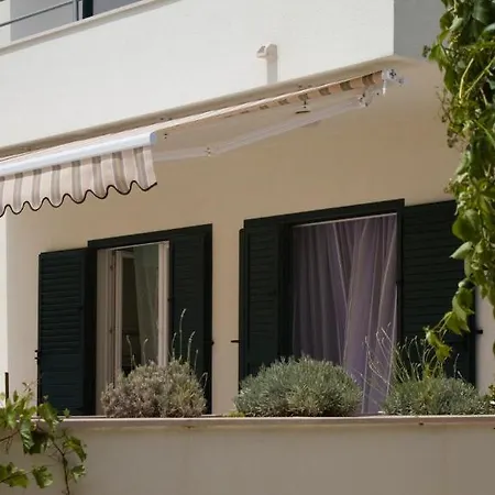 Apartament Plazibat *