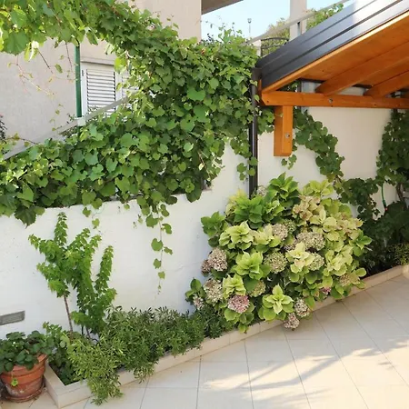 プラジバート *