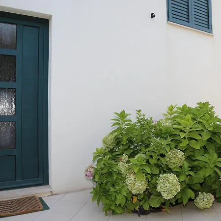 Plazibat * Hvar Town